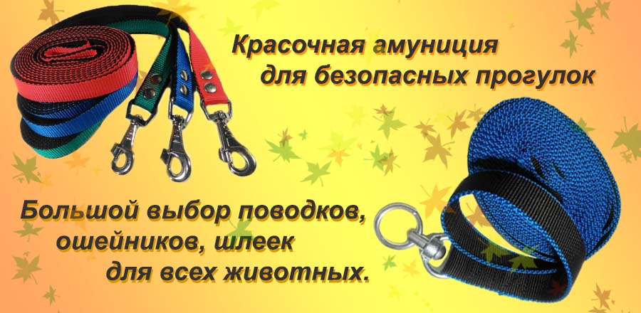 slide_0