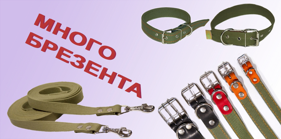 slide_2