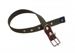 ширина 2,5 см. длина 55 см